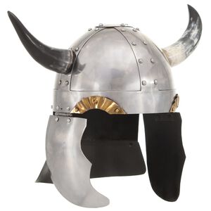 vidaXL Casque de viking pour GN Argent&eacute; Acier