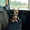 Kerbl Harnais de s&eacute;curit&eacute; d&rsquo;auto &agrave; animaux de compagnie 50-65 cm Noir