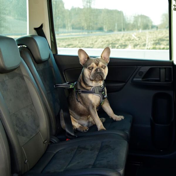 Kerbl Harnais de s&eacute;curit&eacute; d&rsquo;auto &agrave; animaux de compagnie 50-65 cm Noir