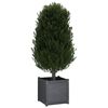 vidaXL Jardini&egrave;res 2 pcs Gris 50x50x50 cm Bois de pin massif