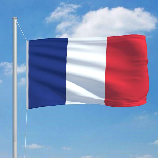 vidaXL Drapeau fran&ccedil;ais 90x150 cm