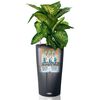 Vignette du produit 7 sur 9