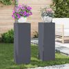 vidaXL Support de Plante 2 pcs Anthracite 24 x 24 x 75 cm Acier