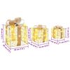 vidaXL Bo&icirc;te Cadeau avec 60 LED 3 pcs Blanc chaud 20 x 20 x 20 cm PET
