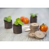 Nature Kit de propagateur 106 pcs