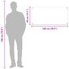 vidaXL Protection de cuisine Gris clair 100 x 40 cm verre tremp&eacute;