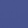 vidaXL Auvent lat&eacute;ral r&eacute;tractable bleu 200x1200 cm