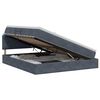 vidaXL Lit de rangement LED avec matelas Gris fonc&eacute; 160 x 200 cm