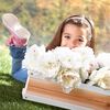 AXI Bo&icirc;te &agrave; fleurs pour aire de jeu Marron et blanc
