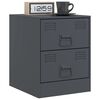 vidaXL Tables de chevet 2 pcs anthracite 34,5x39x44 cm acier