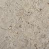 vidaXL Dessus de table Gris &Oslash;50x2,5 cm Marbre