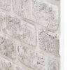 vidaXL Panneaux muraux 3D design de brique gris clair 10 pcs EPS