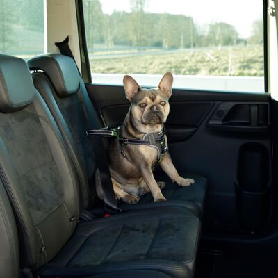 Kerbl Harnais de sécurité d’auto à animaux de compagnie 68-85 cm Noir