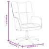 vidaXL Chaise de relaxation Noir Velours