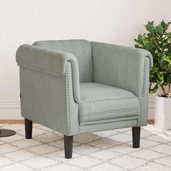vidaXL Fauteuil gris clair Velours