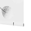 vidaXL Store enrouleur de douche 80x240 cm largeur du tissu 76 cm