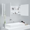 vidaXL Armoire salle de bain &agrave; miroir LED Blanc 100x12x45 cm Acrylique