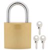 vidaXL U Lock avec Cl&eacute;s 12 pcs Laiton Fer
