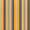 vidaXL Tissu de remplacement pour auvent rayures multicolores 6x3,5 m