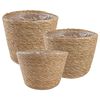 vidaXL Paniers &agrave; plantes en herbe de mer 3 pcs Naturel &Oslash;26 x 19 cm