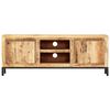 vidaXL Meuble TV 118 x 30 x 45 cm Bois de manguier massif