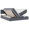 vidaXL Lit avec bandes LED Gris fonc&eacute; 200 x 200 cm Velours