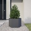 Vignette du produit 2 sur 10