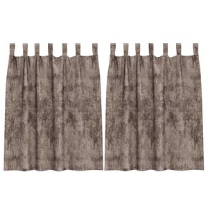 vidaXL Rideaux en velours 2 pcs Cappuccino 140 x 140 cm Velours