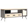 vidaXL Meuble TV Bois de manguier massif et acier 120x30x45 cm