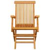 vidaXL Chaises de jardin et coussins noir lot de 2 Bois de teck massif