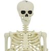 vidaXL Squelette de d&eacute;coration Halloween 2 pcs Blanc Polypropyl&egrave;ne