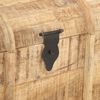 vidaXL Coffres de rangement 2 pcs Bois de manguier massif