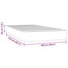 vidaXL Matelas de lit &agrave; ressorts ensach&eacute;s fermet&eacute; moyenne 100x210x20 cm velours
