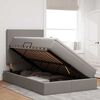 vidaXL Lit avec rangement et LED avec LED Taupe 120 x 190 cm Polyester