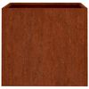 vidaXL Jardini&egrave;res 2 pcs 49x47x46 cm acier corten