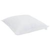 vidaXL Duvet d'&eacute;t&eacute; simple avec oreiller 2 pcs Blanc Microfibre