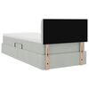 vidaXL Lit avec rangement et LED Gris clair 100 x 200 cm Velours