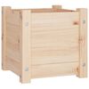 vidaXL Jardini&egrave;res d'ext&eacute;rieur 2 pcs 31x31x31 cm bois de pin massif