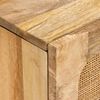 vidaXL Buffet Marron 40 x 33,5 x 75 cm Bois de mangue massif