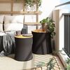 vidaXL Tables d'appoint de jardin 2 pcs dessus en bois noir poly rotin
