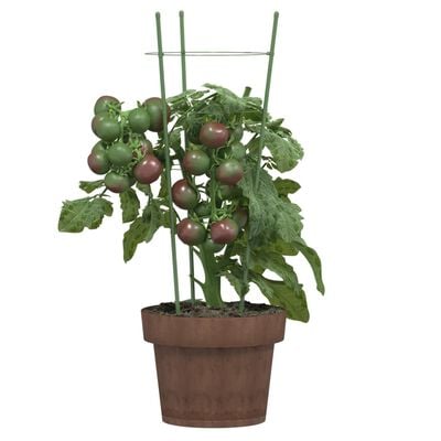 vidaXL Supports pour plantes de jardin 3 anneaux 5pcs Vert 45 cm Acier