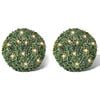 vidaXL 2 pi&egrave;ce de boule 35 cm avec guirlande lumineuse solaire 24 LED