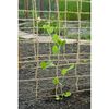 Nature Filet pour plantes grimpantes en jute 1,8x5 m naturel