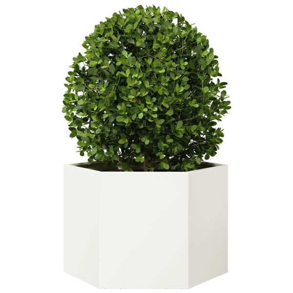 vidaXL Jardini&egrave;re blanc hexagone 69x60x45 cm acier