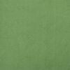 vidaXL Coussin de Dos Vert clair 60 x 50 cm Tissu en velours c&ocirc;tel&eacute;