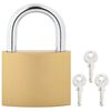 vidaXL U Lock avec Cl&eacute;s 6 pcs Laiton Fer