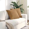 vidaXL Coussins de canap&eacute; 2 pcs Marron 50 x 50 cm