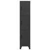 vidaXL Armoire &agrave; casiers Anthracite 38x45x180 cm Acier