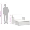 vidaXL Salon de jardin 2 pcs avec coussins Résine tressée Gris