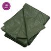 vidaXL B&acirc;che 180 g/m&sup2; 4x6 m Vert PEHD